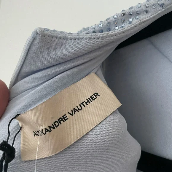 ❌SOLD❌ALEXANDRE VAUTHIER Draped Crystal Embellished Stretch Jersey Mini Dress - Picture 8 of 12